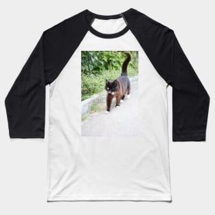 Cat - Switzerland Baseball T-Shirt